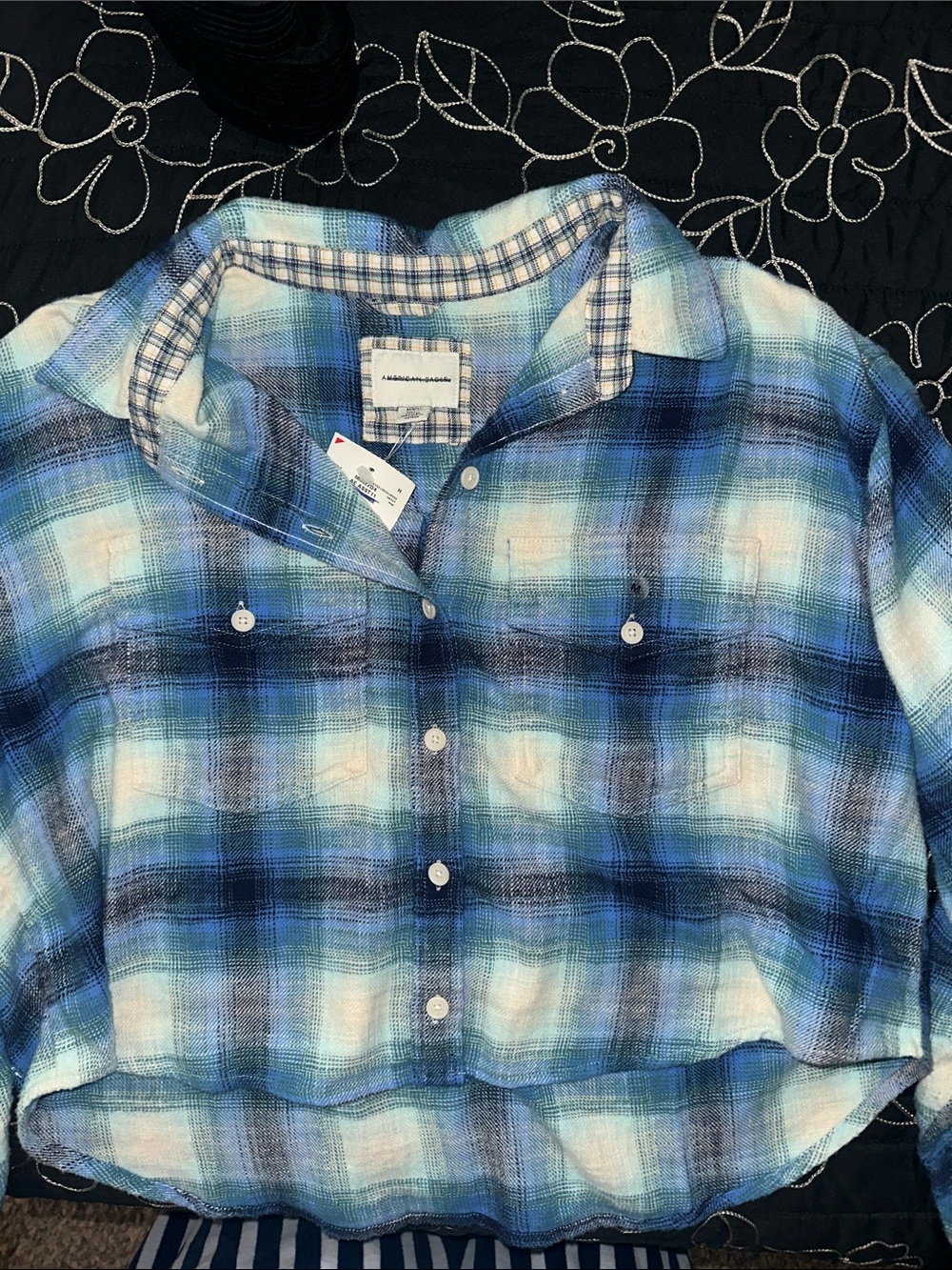 American Eagle Outfitters Blue Plaid Button-Down Shirt